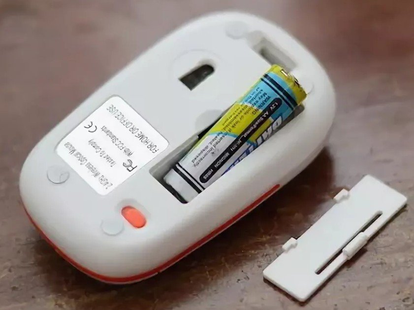 Chuột ở mặt sau