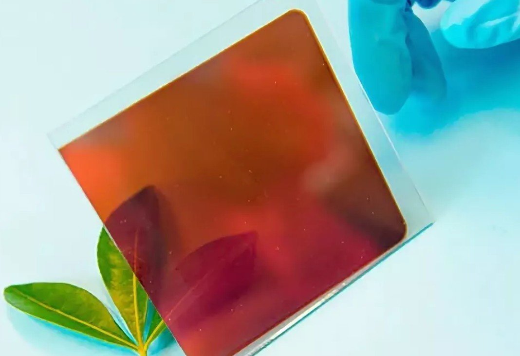 เซลล์แสงอาทิตย์ชนิดเพอร์รอฟสไกต์