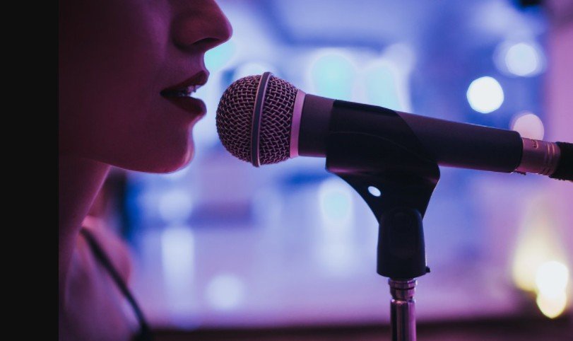 แบตเตอรี่ไมโครโฟน แบตเตอรี่สำหรับไมโครโฟน